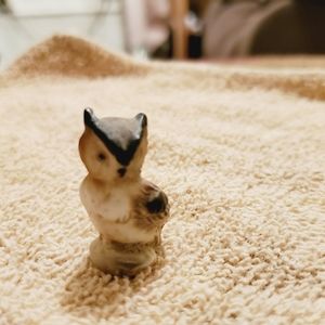 Owl novelty